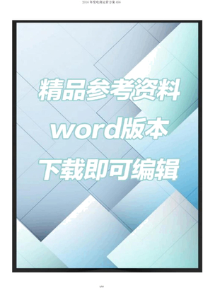 2016年度电商运营方案456