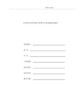 专业硕士实践总结报告