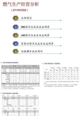 燃气公司财务分析