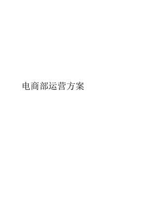 电商部运营方案