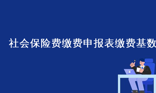 社会保险费缴费申报表缴费基数