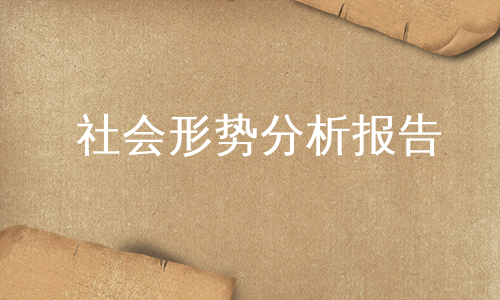 社会形势分析报告