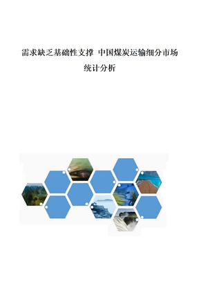 中国煤炭运输细分市场统计分析报告