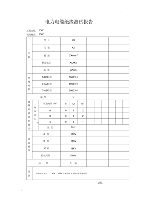 电缆绝缘测试报告