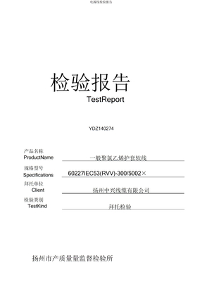 电源线检验报告