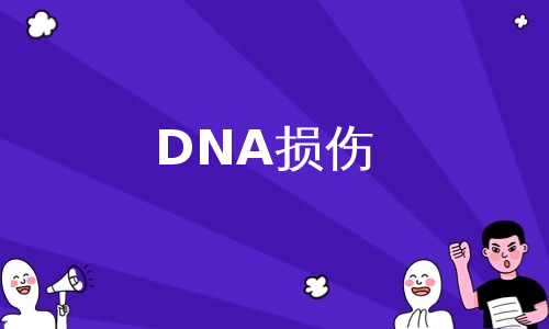 DNA损伤