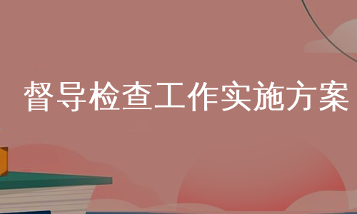 督导检查工作实施方案