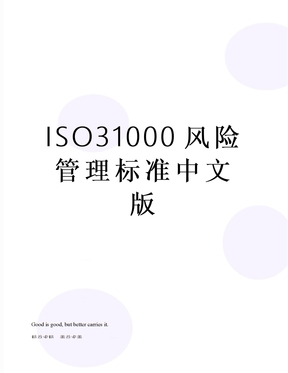 ISO31000风险管理标准中文版