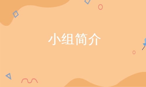 小组简介