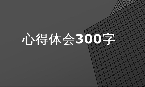 心得体会300字