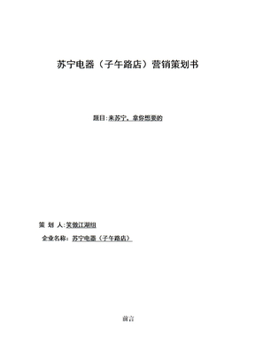 苏宁电器-营销策划方案