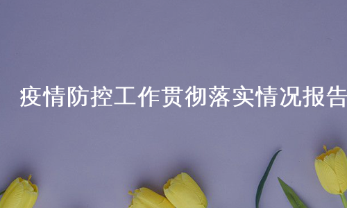 疫情防控工作贯彻落实情况报告