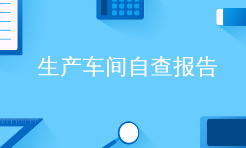 生产车间自查报告