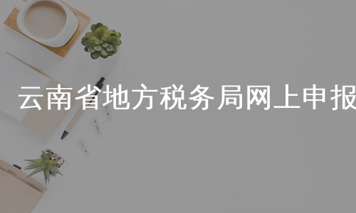云南省地方税务局网上申报