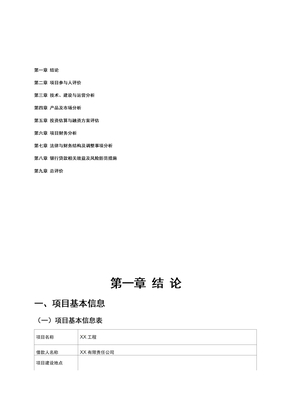 电厂项目评估报告
