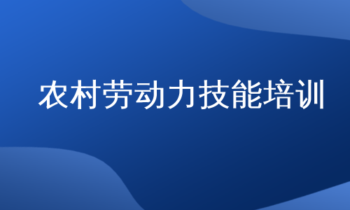 农村劳动力技能培训