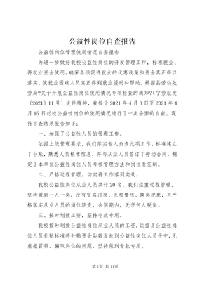 公益性岗位自查报告