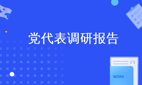 党代表调研报告