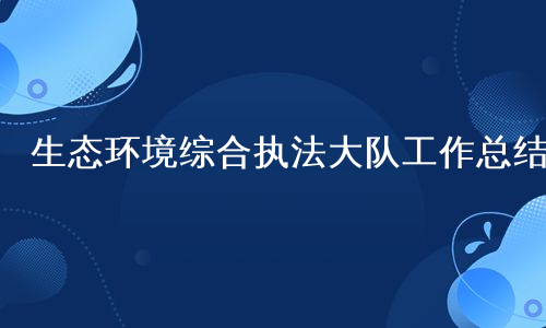 生态环境综合执法大队工作总结