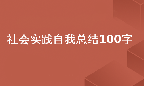 社会实践自我总结100字