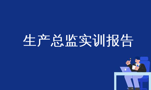 生产总监实训报告