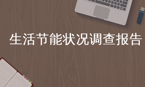 生活节能状况调查报告