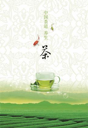 淡雅绿茶背景的中国茶文化ppt模板