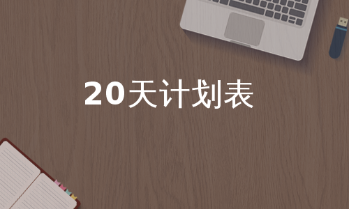 20天计划表