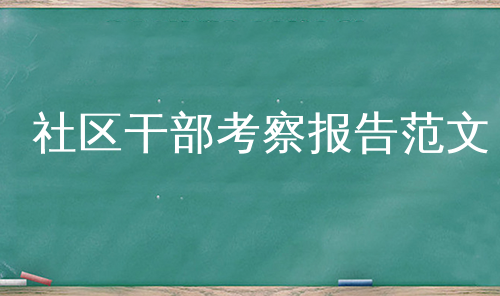 社区干部考察报告范文