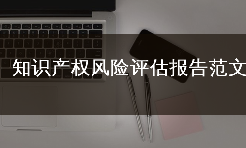 知识产权风险评估报告范文