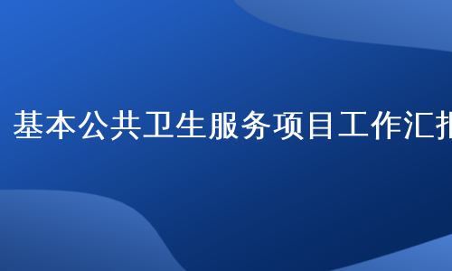 基本公共卫生服务项目工作汇报