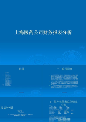 上海医药公司财务报表分析