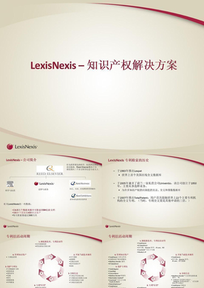 LexisNexis–知识产权解决方案