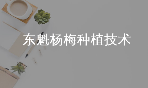 东魁杨梅种植技术