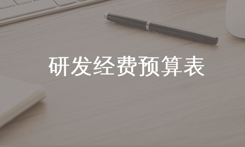 研发经费预算表