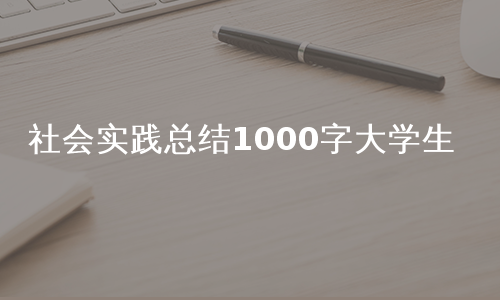 社会实践总结1000字大学生