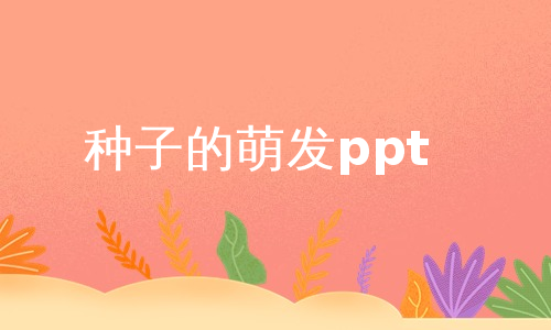 种子的萌发ppt