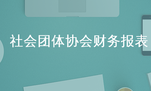 社会团体协会财务报表