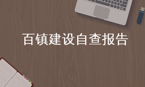 百镇建设自查报告