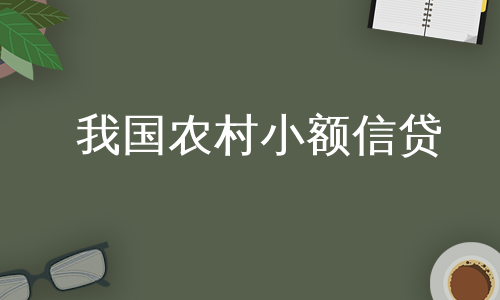 我国农村小额信贷