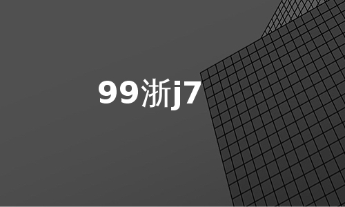 99浙j7