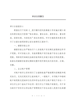 审计自查报告