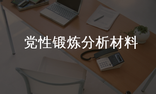 党性锻炼分析材料