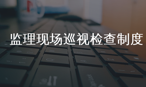 监理现场巡视检查制度