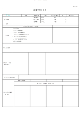 项目工作日报表格模板