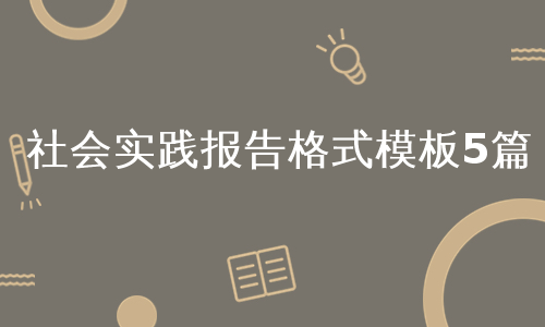 社会实践报告格式模板5篇