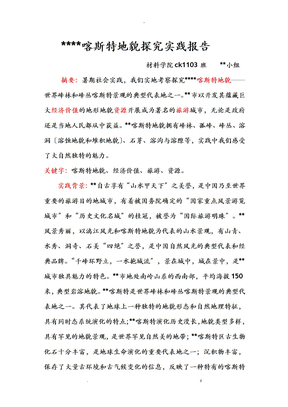 桂林小組社會實踐報告
