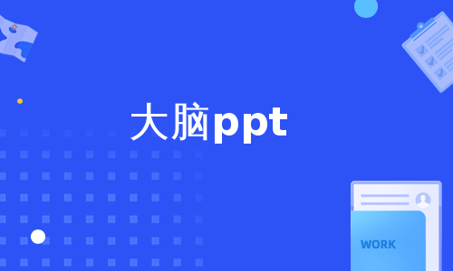 大脑ppt