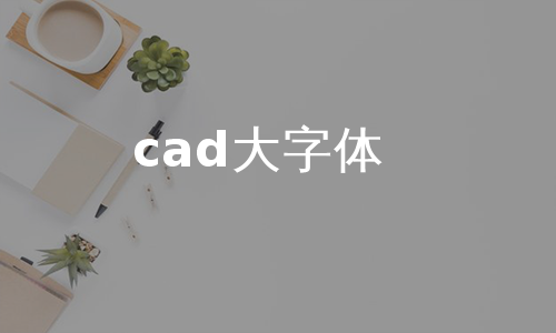 cad大字体