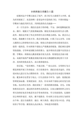 小班班级自查报告5篇